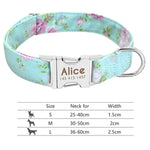 Nylon Dog Collar