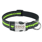 Nylon Dog Collar