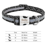 Nylon Dog Collar