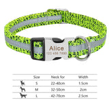 Nylon Dog Collar