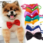 Pet Bow Ties