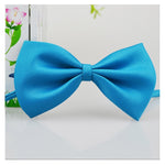 Pet Bow Ties