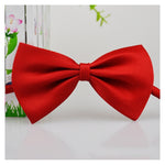 Pet Bow Ties